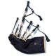 PH2HT Heritage Silver Bagpipes - Thistle